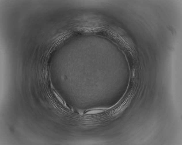 X0000111591300200907231206