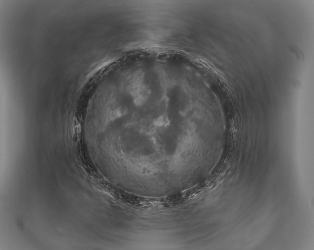 X0000111591302200907231206