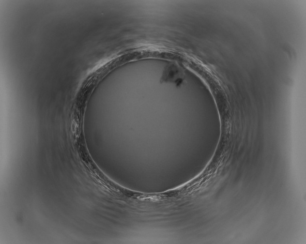 X0000111591303200907231206