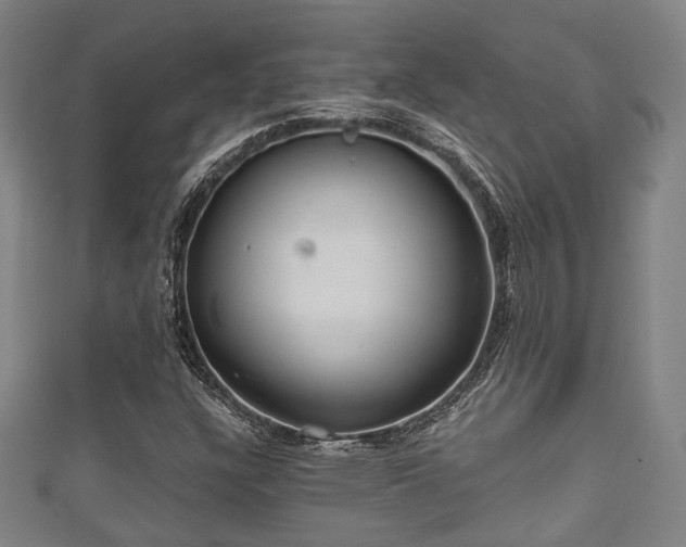 X0000111591304200907231206