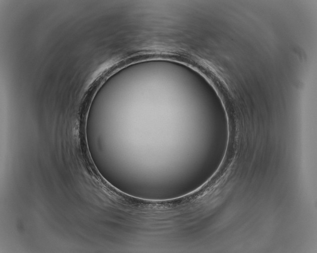 X0000111591307200907231206