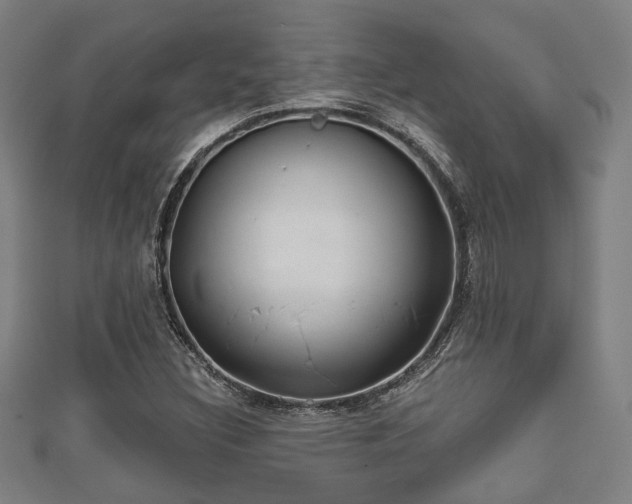 X0000111591308200907231206