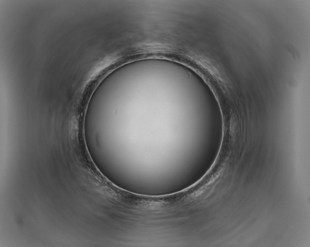 X0000111591309200907231206