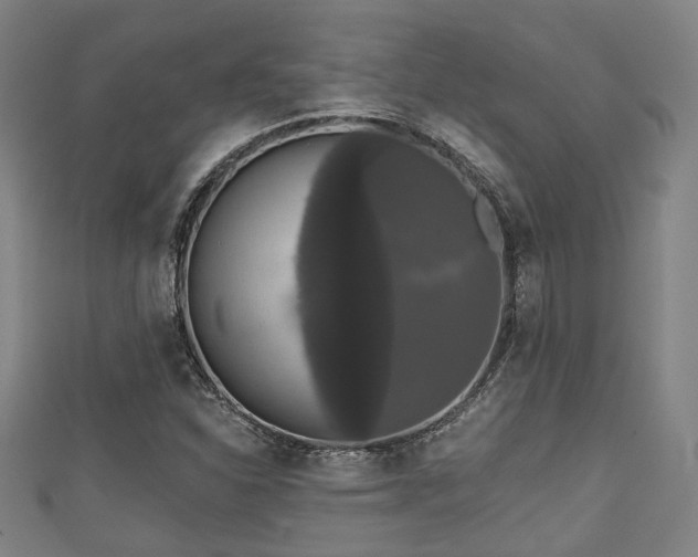 X0000111591310200907231206