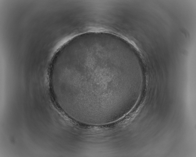 X0000111591311200907231206