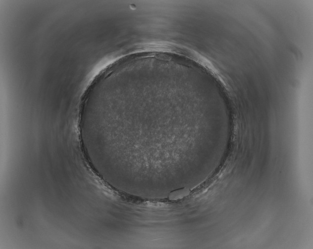 X0000111591312200907231206