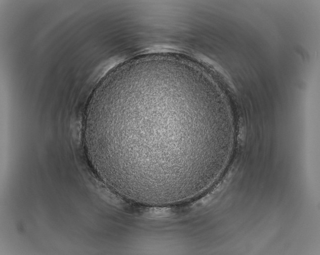 X0000111591313200907231206