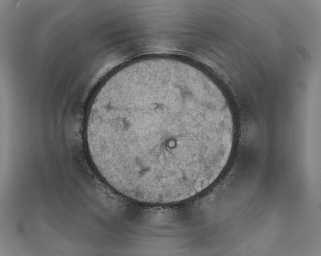 X0000111591314200907231206