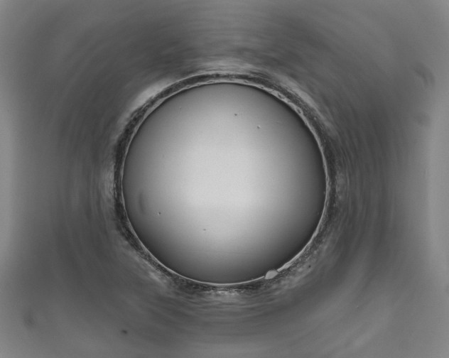 X0000111591315200907231206