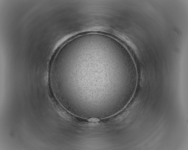 X0000111591316200907231206