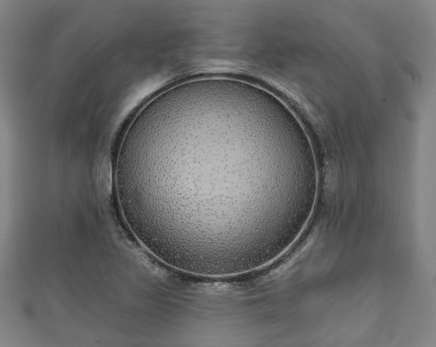 X0000111591317200907231206