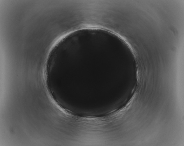 X0000111591319200907231206