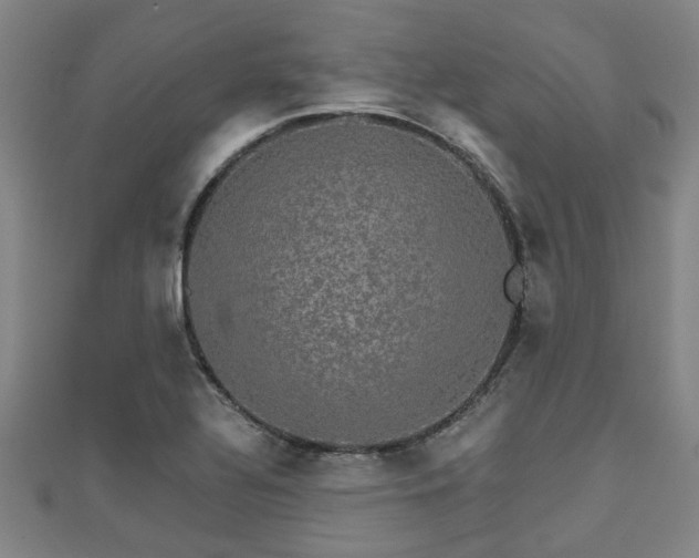 X0000111591320200907231206