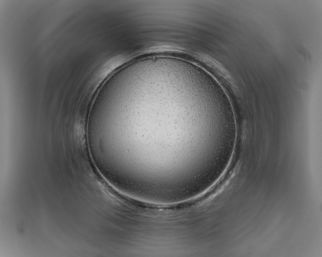 X0000111591321200907231206