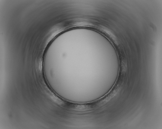 X0000111591322200907231206