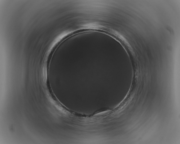 X0000111591323200907231206