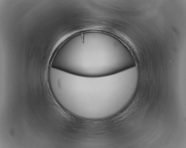 X0000111591324200907231206