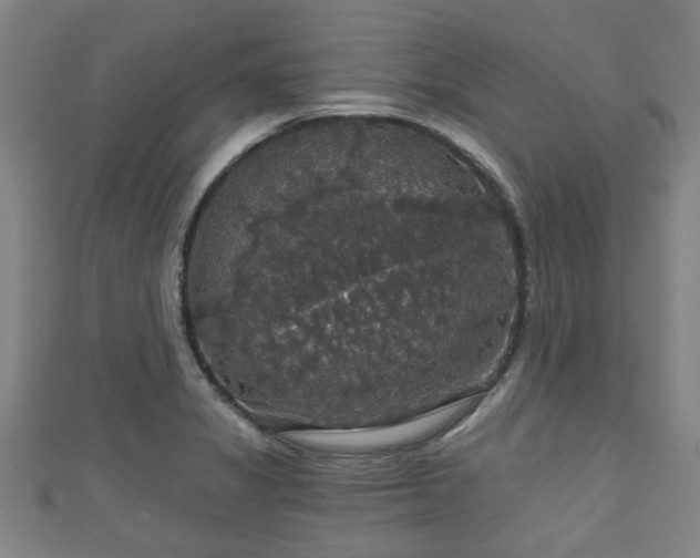 X0000111591325200907231206