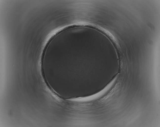 X0000111591327200907231206