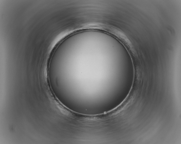 X0000111591328200907231206