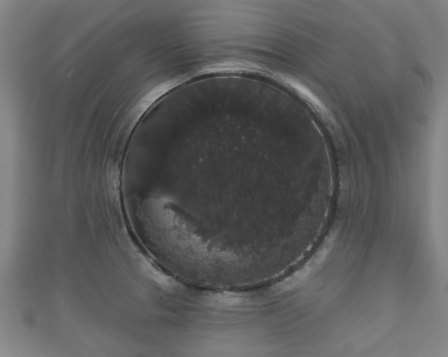 X0000111591329200907231206