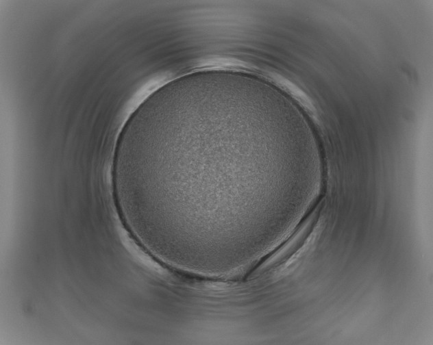 X0000111591330200907231206