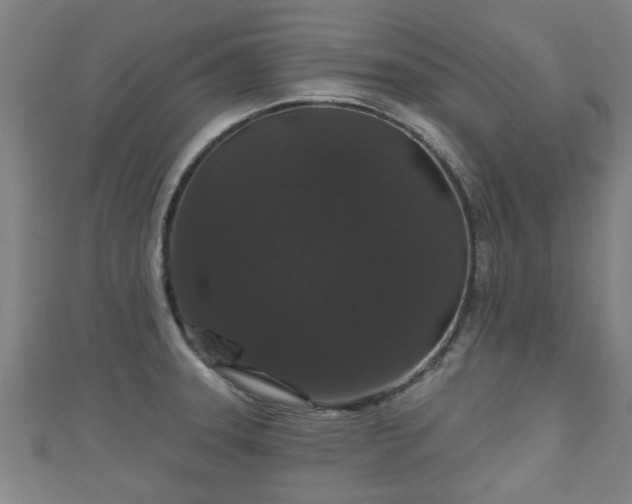 X0000111591331200907231206