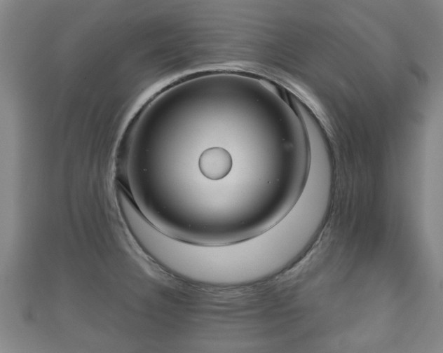 X0000111591332200907231206