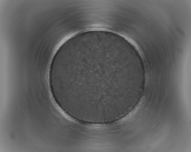 X0000111591333200907231206