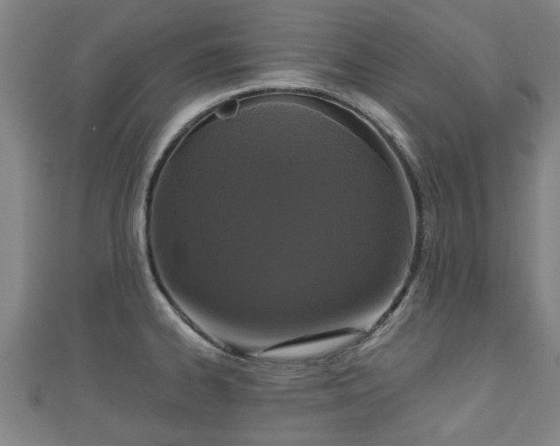 X0000111591334200907231206