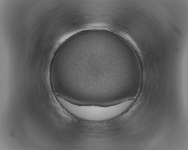 X0000111591336200907231206