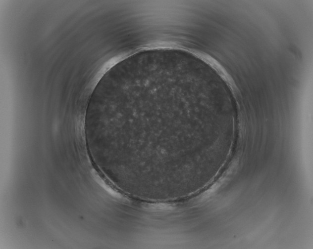 X0000111591337200907231206