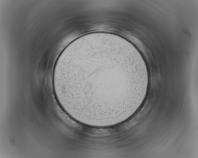 X0000111591338200907231207