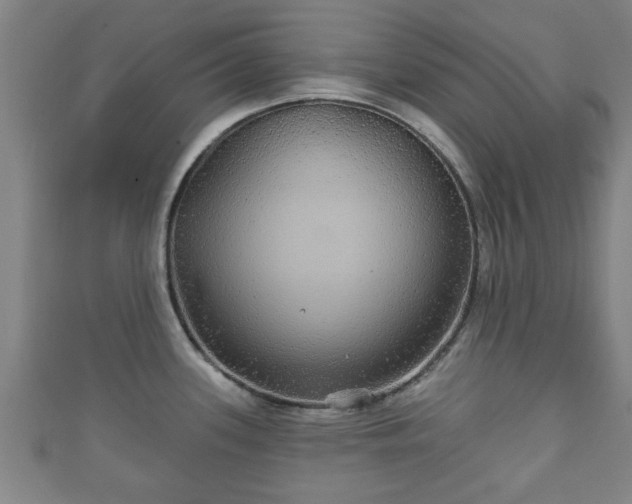 X0000111591339200907231207