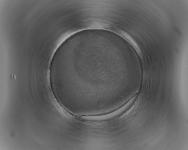 X0000111591340200907231207