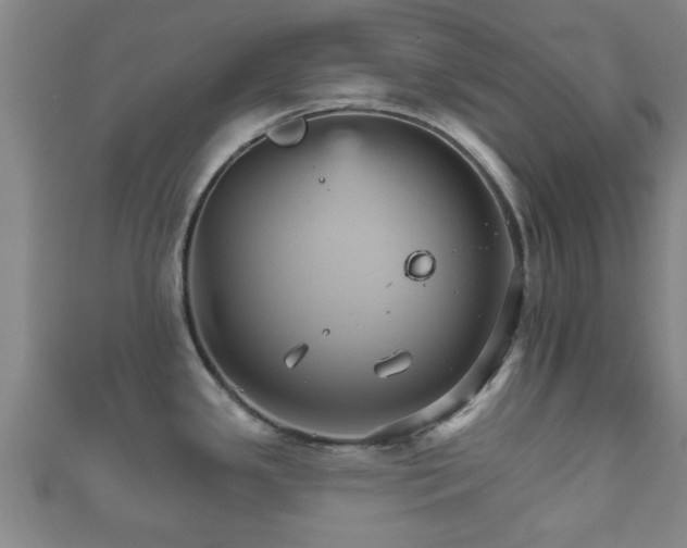 X0000111591341200907231207