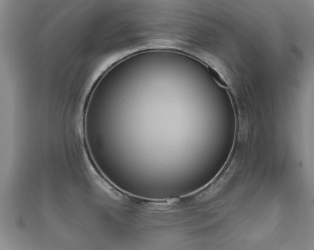 X0000111591342200907231207