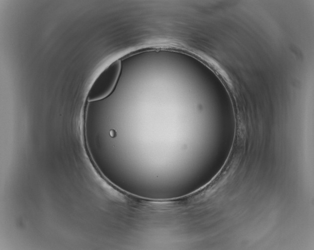 X0000111591343200907231207