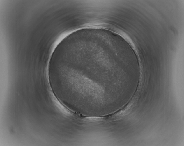 X0000111591344200907231207