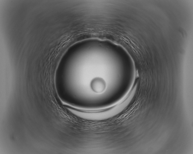 X0000111591345200907231206