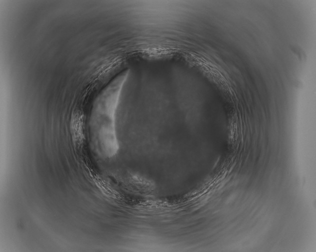 X0000111591346200907231206