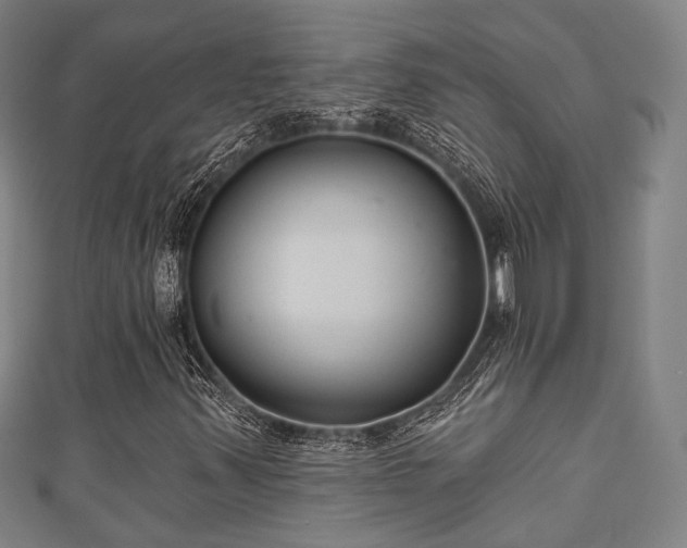 X0000111591347200907231206