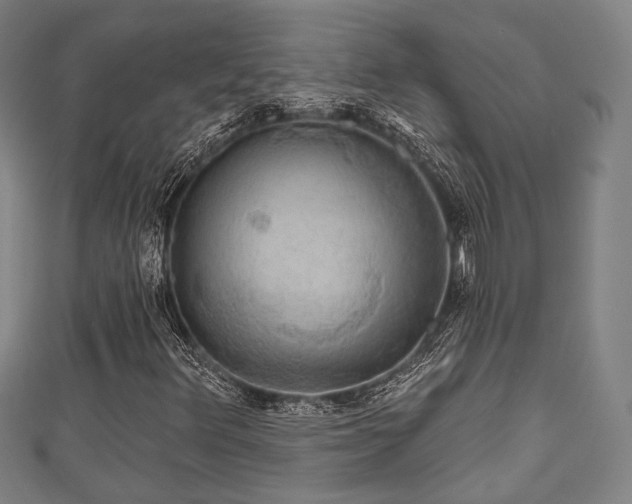 X0000111591348200907231206