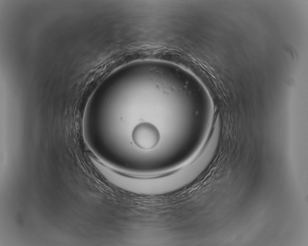 X0000111591349200907231206