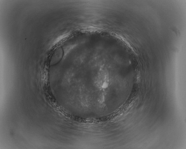 X0000111591350200907231206