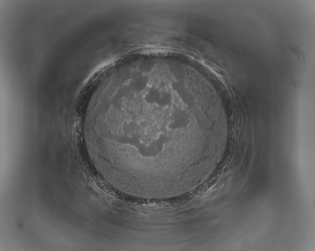 X0000111591351200907231206