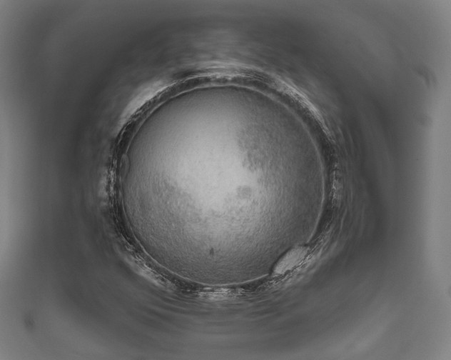 X0000111591352200907231206