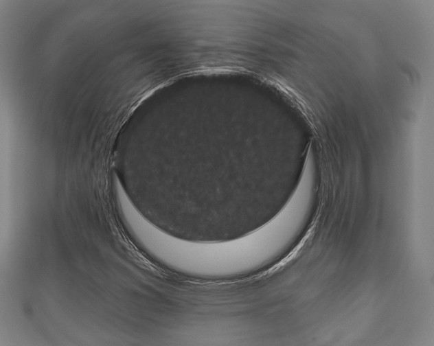 X0000111591353200907231206