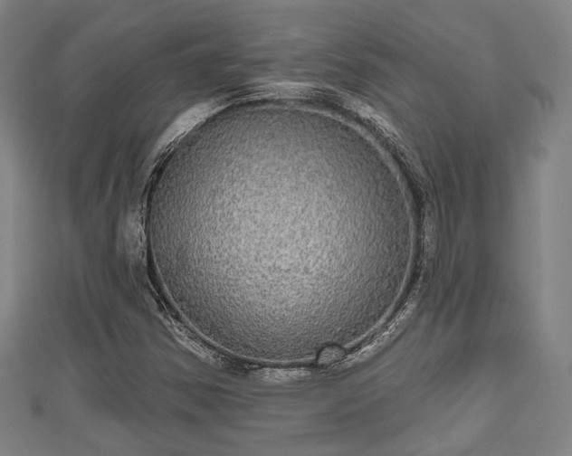 X0000111591354200907231206