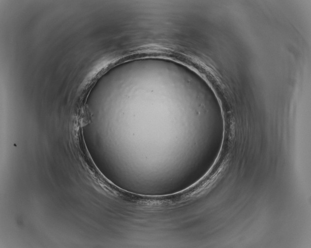 X0000111591355200907231206